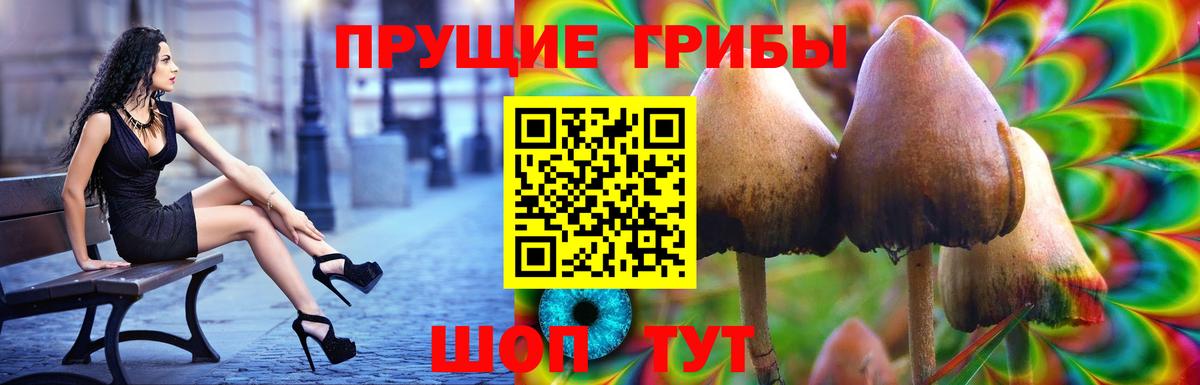 Псилоцибиновые грибы Magic Shrooms  Вход с VPN  Галлюциногенные грибы MAGIC MUSHROOMS  Сызрань 